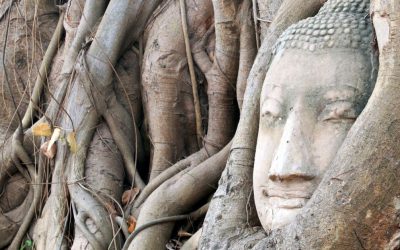 From Conflict to Connection: Simple Changes for a Stronger Relationship