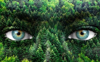 Sharing Your Past Trauma With New Partners