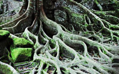 Rebuilding Intimacy After Sexual Trauma